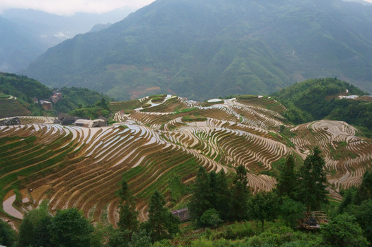 龙脊梯田