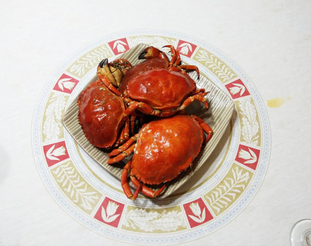 红壳海蟹