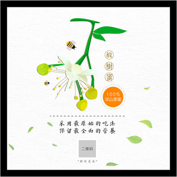 椴樹花蜜標簽