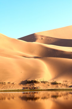 内蒙古沙漠腹地