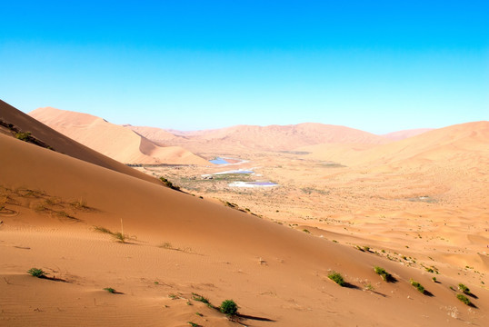 内蒙古沙漠腹地