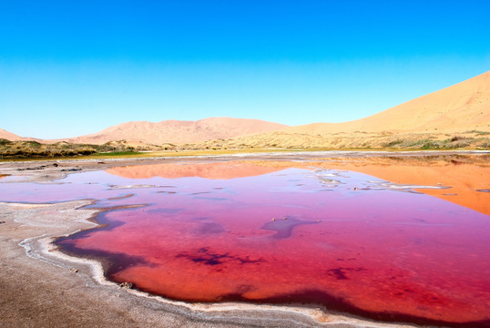 极致美红色沙漠湖泊白色结晶风景