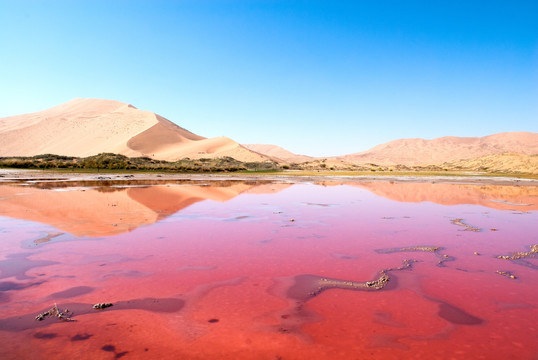 极致美红色沙漠湖泊白色结晶风景