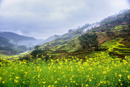 婺源篁岭远山