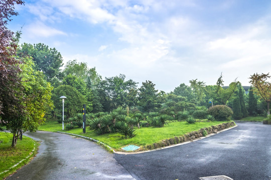 雨后的绿博园