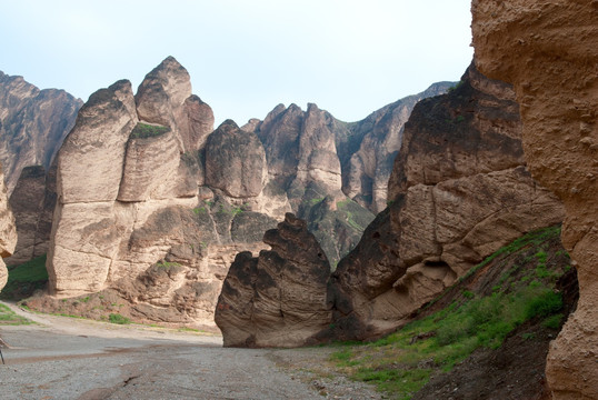 黄河石林风景