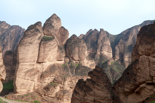 黄河石林风景