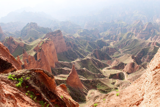 黄河石林风景