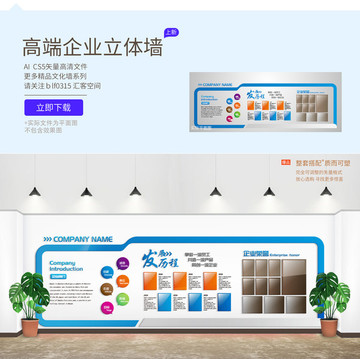 高端企業(yè)立體墻
