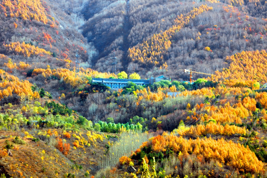 京西景观