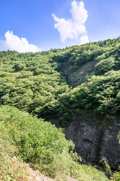 山景