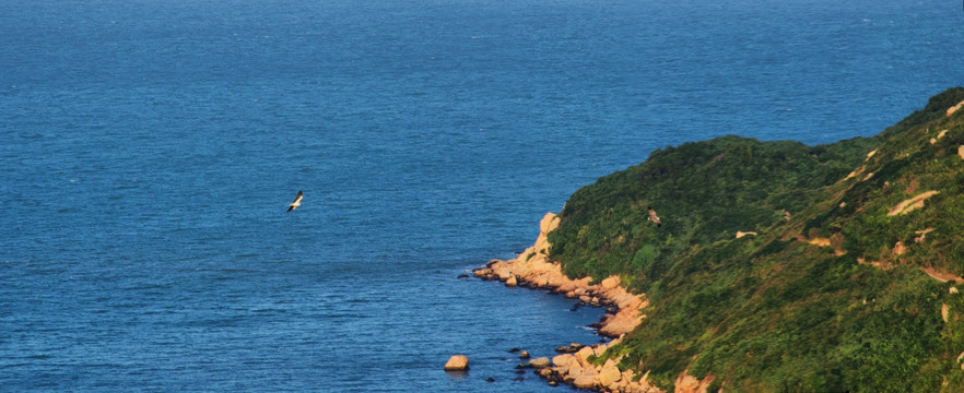 海洋海岛