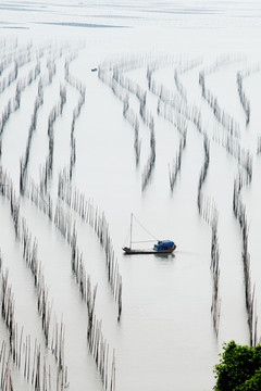 海水养殖