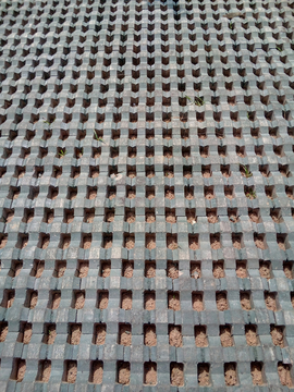 网格式地面绿化砖