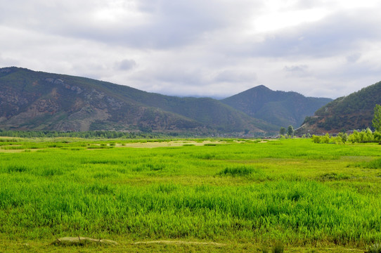 泸沽湖草海