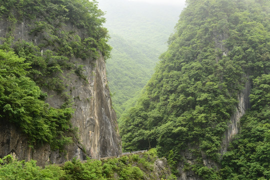 镇坪大山