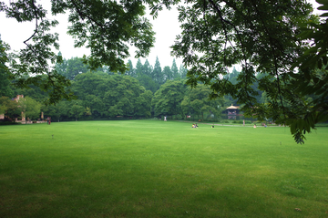 草地 草坪 太子湾公园