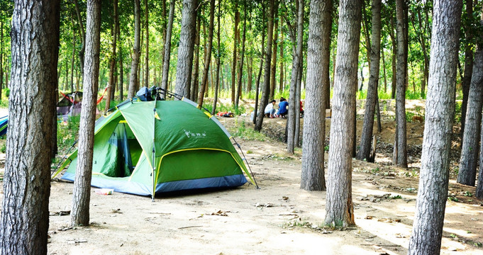 树林帐篷
