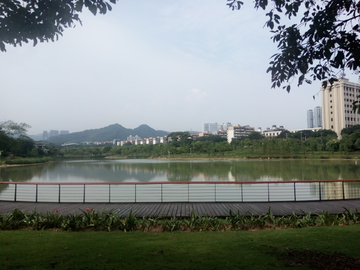 深圳中心公园景色