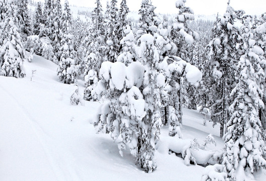 冰天雪地