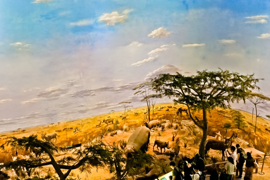 非洲大草原场景模拟