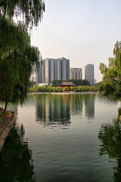 西安 兴庆宫 公园 市民公园