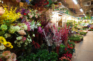 花店 花鸟市场