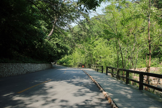 辽宁鞍山 千山风景 林间小路