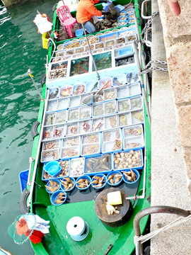 香港西贡鱼市