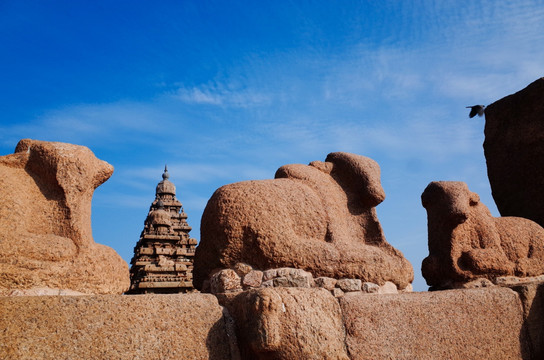 印度金奈马哈巴利普兰的海岸神庙