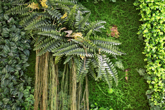 仿真绿植墙 绿墙 植物花墙