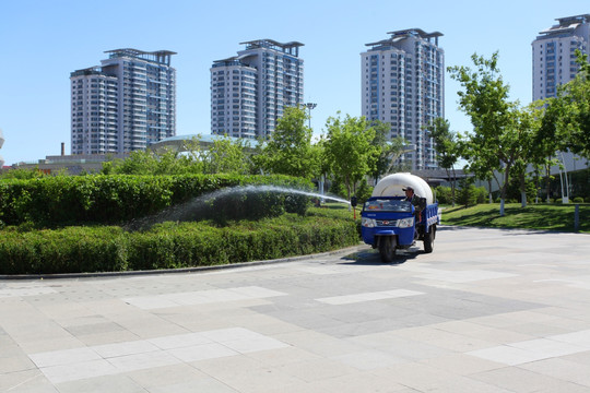 植物园 哈尔滨 浇水 城市花园