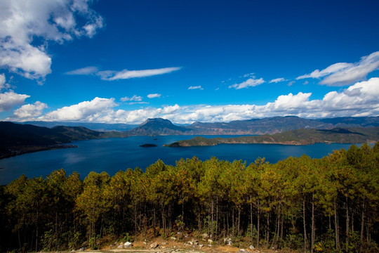 泸沽湖 杉树 水杉 广阔的湖面