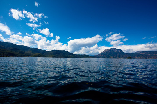 湖泊 云南 风景 沼泽湖泊岛