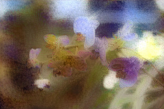 抽象花鳥畫裝飾畫油畫 未分層