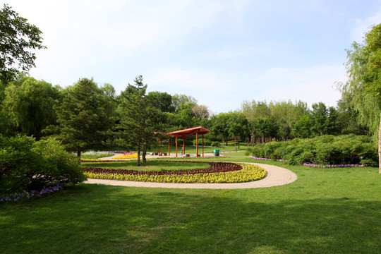 植物园 哈尔滨 太阳岛 草坪