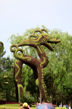 植物雕塑 坐龙 龙