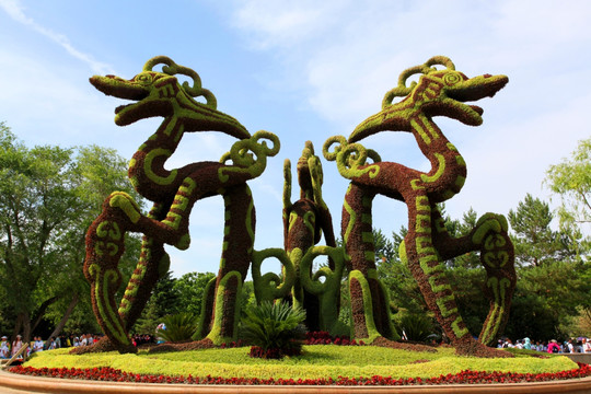 植物雕塑 坐龙 龙 植物 哈尔