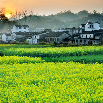 婺源春色风景