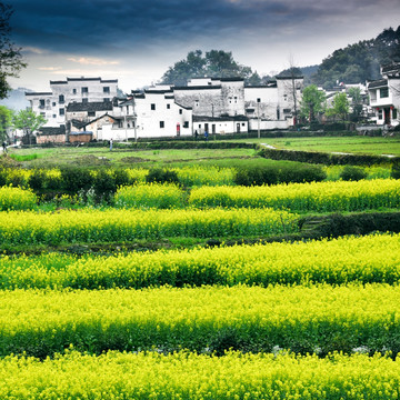 婺源春色风景