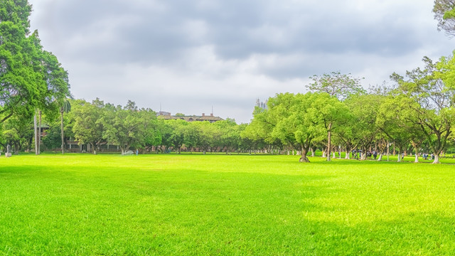 树林草地 高清宽幅全景