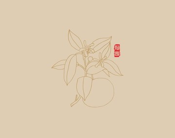 柑花 簡(jiǎn)筆畫(huà)