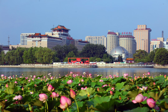 莲花池公园景观