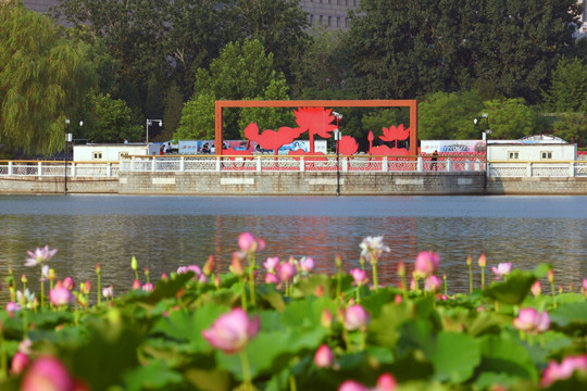 莲花池公园景观