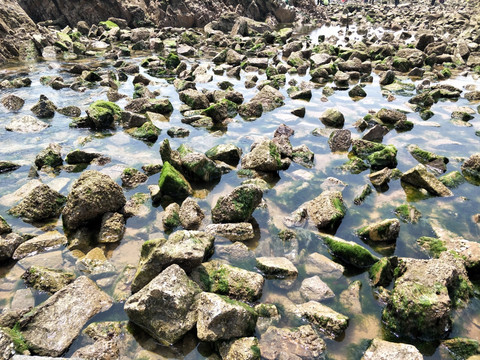 金沙滩水石