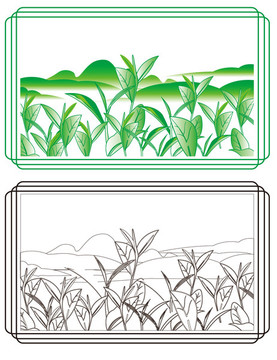 手绘茶叶矢量素材