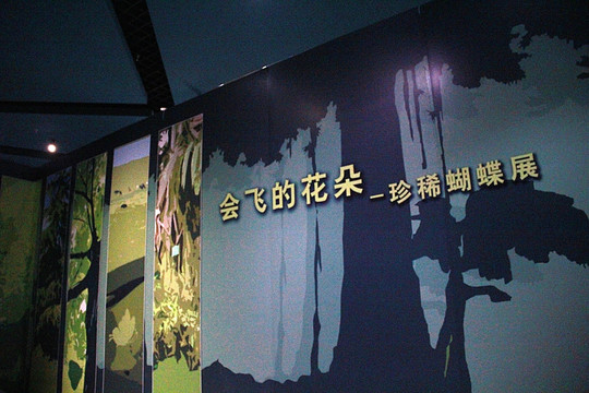 天津自然博物馆 蝴蝶展厅