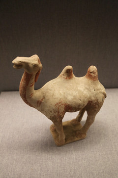 唐代彩绘瓷骆驼