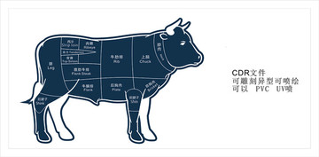 牛肉分割圖