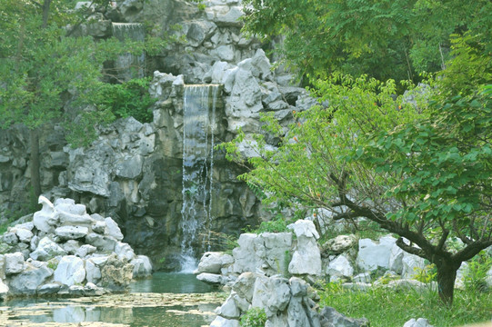 园林 风景